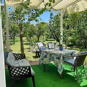 https://tom-e-jerry.in-sardinia.net
